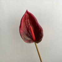 Plantes d'Anthurium en gros pour mariage, fleurs en latex Anthurium au toucher réel