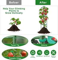 46.85 pouces réglable en acier plante tour piquets tomate concombre treillis jardin Cages pour escalade légumes fleurs Fruits