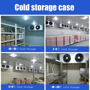 Mejor Precio - Cámara Frigorífica de -18 a -25 Grados, Cámara Frigorífica, Contenedor Refrigerador Personalizado para Restaurante - Product Image 6