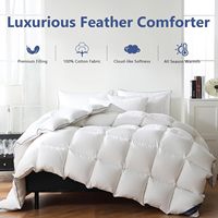 Couvre-lit 100% coton Toute saison Ultra doux Literie de luxe pour hôtel Fibre de duvet de plumes d'oie Couvre-lit Queen Size Insert de couette