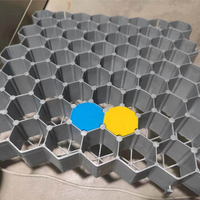 Grille de gravier matériaux recyclés 38mm grille de pavé d'herbe pour paysage pour la construction de routes grille de paddock en plastique cheval