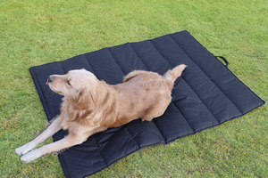 Portable Camping En Plein Air Oxford Pliable <span class=keywords><strong>Chien</strong></span> <span class=keywords><strong>Lit</strong></span> Enrouler Léger Étanche <span class=keywords><strong>Chien</strong></span> Voyage Tapis - Product Image 5