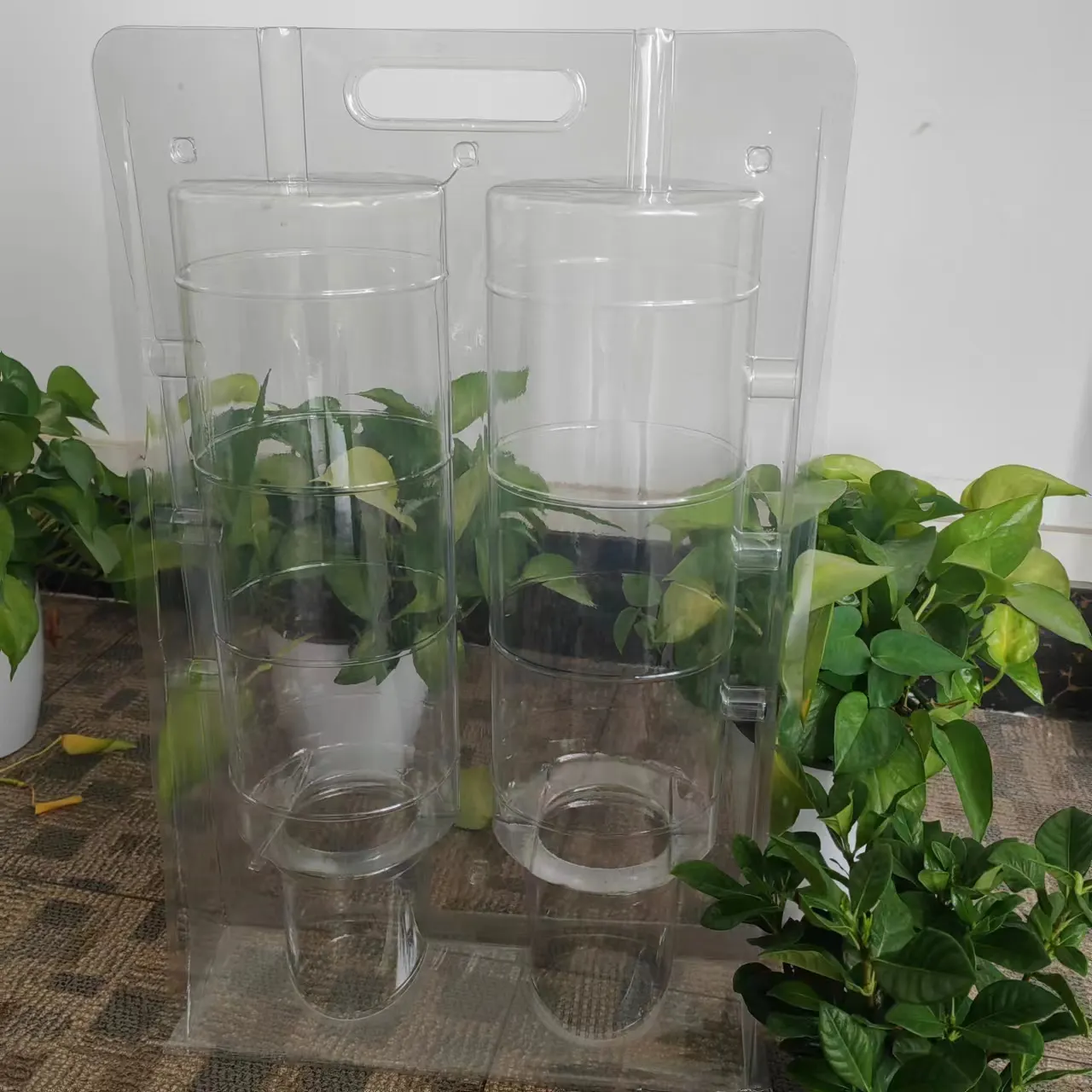 Embalagem de concha de plantas personalizadas, embalagem transparente descartável em pvc para animais de estimação, caixa de concha de plantas