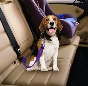 Cinturón de Seguridad para Mascotas de Nailon, Cinturón de Seguridad para Perros con Hebilla para Asiento de Coche, con Decoración de Cintas, Correa de Tracción para la Seguridad del Perro - Product Image 6
