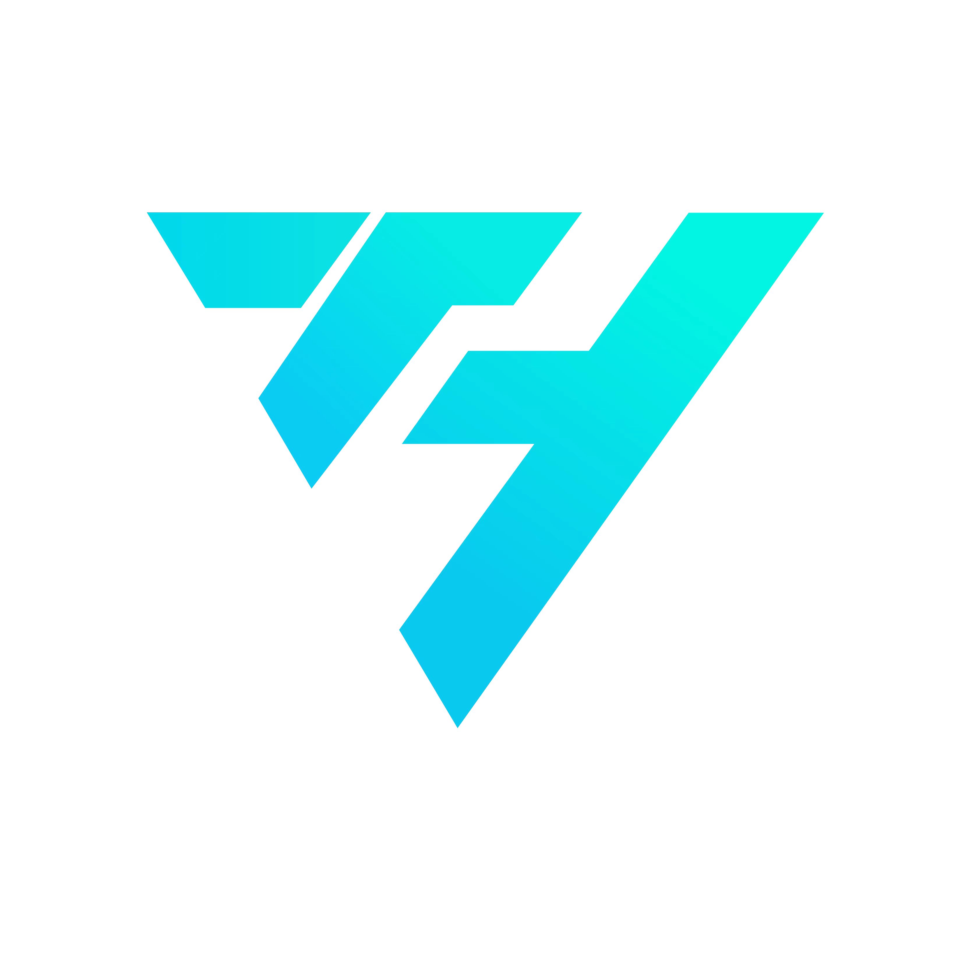 Guangzhou Tenghong Electronics Co., Ltd. logo