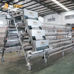 Automatic Chicken Layer Cage Equipment for Poultry Egg Laying Hens