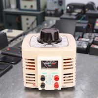 Régulateur de tension réglable TDGC2 -1KVA monophasé 220V en cuivre 0-300V Variac