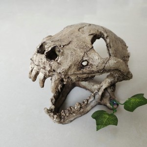 Décoration d'aquarium en gros, fournitures de produits de Terrarium, résine artificielle, squelette en forme d'os, cachette, grotte, Reptile, décoration de réservoir