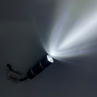 Nicron — lampe de poche Led étanche, torche lumineuse, Mini lumières blanches personnalisées, bon marché, vente en gros