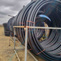 Tuyaux d'irrigation flexibles noirs en PEHD, vente directe usine, tubes d'eau potable en PE pour l'agriculture et les exploitations agricoles