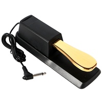 Bonne qualité et prix Accessoires d'instruments Pédale de sustain de piano numérique pour clavier Midi Structure interne avancée électrique