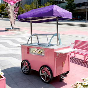 Chariot à glaces mobile à pousser à la main avec vitrine, homologué CE 2025 - Product Image 1