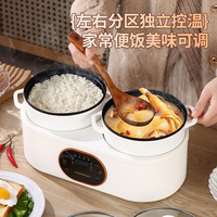 Autocuiseur électrique double cuve en gros, avec cuve de cuisson amovible, multifonctionnel, base chauffante intelligente, 2,1-4L