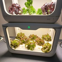 Boîte de culture hydroponique en plastique pour la maison intelligente, pour jardin et usage intérieur, design moderne, machine à planter des oignons