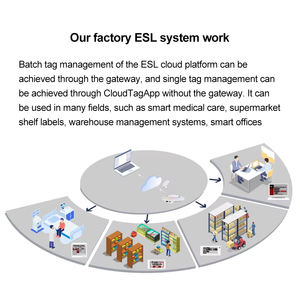 Esl Demo Kit Digital <b>Smart</b> Shelf Label Low-Temperature Freezing E Ink Display Price Tag Wireless <b>Electronic</b> Shelf Label Wifi - Product Image 6