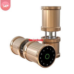 Top-76YX Home Điện Tử Tuya Keyless Vân Tay Vòng Chất Lượng Cao Wifi Thông Minh Khóa Cho Cửa Kính - Product Image 4