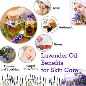 Заводская поставка, масло лаванды, бесплатный образец чистого эфирного масла лаванды для собак и кошек - Product Image 4