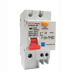 OEM High Breaking DYB2LE-80 Miniature Circuit Breaker MCB Voltage Protectors Electric Breakers