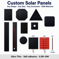 Panneau solaire ETFE mini personnalisé 0,5W 1W 1,7W 3W, module solaire rond en verre 5V 9V 12V 18V pour IoT, GPS, traqueur d'animaux, agriculture intelligente