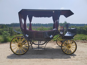 Charrettes à chevaux électriques vintage pour le tourisme, chariots de mariage, charrettes de promenade à chevaux Victoria à vendre - Product Image 3
