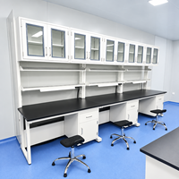 Armoire de rangement industrielle murale en acier SCEELAB pour hôpitaux, écoles, laboratoires pharmaceutiques et de recherche