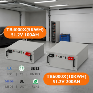 LITHTECH รับประกัน 10 ปี 8000 รอบการใช้งาน 51.2V 10Kw 200A BMS แบตเตอรี่สำรองพลังงานบ้าน โซลาร์อิออน 48V 200Ah LiFePO4 - Product Image 4