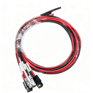 Высококачественный жгут проводов OEM с терминалом - Product Image 6