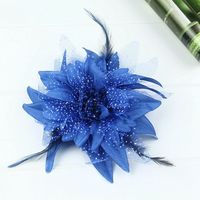 Accessoires de cheveux pour enfants : nœuds, barrettes, épingles et coiffes à plumes et fleurs pour la danse et les spectacles scolaires