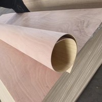 Contreplaqué en bois de Paulownia de 2 mm à 18 mm, écologique, de première qualité, certifié CE/E1, moderne, garantie 1 an, résistant à l'eau