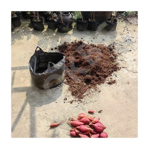 Macetas de cultivo de tela de aireación tejida PP mejorada HOKBG, fáciles de levantar, tamaño pequeño, batata, 20 galones, 80L, bolsas de cultivo con asas - Product Image 2