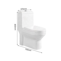 FANNISI Meilleure vente sur le marché du Moyen-Orient, en Irak et au Koweït, sanitaires en céramique, toilettes monobloc avec bidet