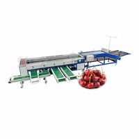 Goede dienst na verkoop MRC-FJ roller sizer cherry tomaat sorteren machine fruit grading machine
