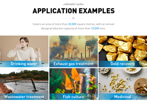 Carbone Attivo Granulare Impregnato su Supporto <span class=keywords><strong>di</strong></span> Guscio <span class=keywords><strong>di</strong></span> Cocco per Adsorbimento Gas Acidi, Cartucce Filtranti Protettive con Purezza del 99% - Product Image 6