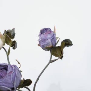 Großhandel natürliche getrocknete Rose Bouquet konservierte Blume für Zuhause Innen-und Außen dekoration - Product Image 6