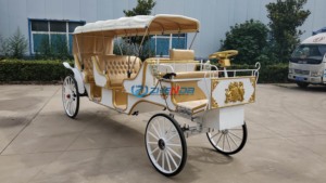 Chariot de Mariage Européen à Prix Abordable, Chariot de Tourisme, Magnifique Chariot Citrouille Blanc Couvert - Product Image 4
