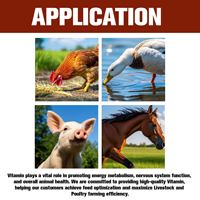 Additif alimentaire Vitamine B1 en poudre Chlorhydrate de thiamine HCL Supplément de qualité alimentaire pour le bétail, la volaille et les animaux