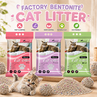 Litière pour chat écologique en argile naturelle, haute absorption, sans poussière, contrôle des odeurs, avec emballage personnalisé – Direct Usine