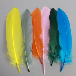 Bán Buôn Đầy Màu Sắc Lông Tự Nhiên Cầu Vồng 6-8 "/15-20Cm Lông Ngỗng Cho DIY Thủ Công Mỹ Nghệ Làm Đồ Trang Trí - Product Image 6