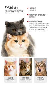 <span class=keywords><strong>Pasta</strong></span> Avanzata Eco-Friendly con Olio di Pesce Norvegese e Erba Gatta per Gatti - Sicurezza Assoluta e Cura Digestiva per Animali Domestici - Product Image 6