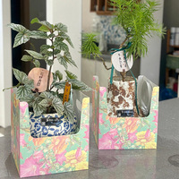 Boîte d'emballage pour plantes et fleurs à usage domestique, personnalisable, en gros, OEM, boîte à fleurs créative pliable avec poignée, impression CMYK