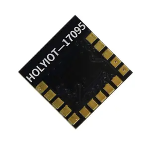 Holyiot Ble4.2モジュールnRF52832SigmeshノードワイヤレスRfGfsk 2.4gBluetoothモジュール