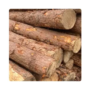 Wholesale Custom Vietnam Product 100% raw Pine Wood Logs Best Price High Quality Teak wood round logs for sale