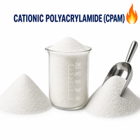 Floculant cationique polyacrylamide (CPAM) pour les eaux usées de traitement des minerais