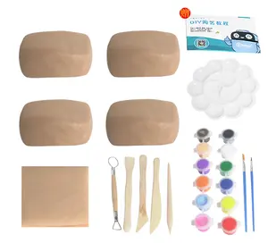 Kit para iniciantes com verniz brilhante, pintura, ferramentas e guia, argila seca a ar