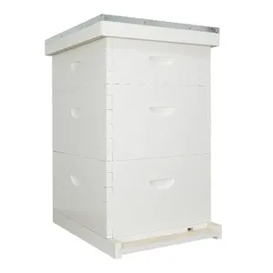 10 Frame White Painted Langstroth Beehive Boxes