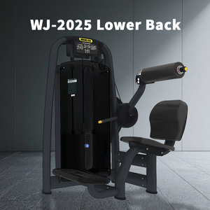 Appareil de <span class=keywords><strong>musculation</strong></span> robuste pour le bas du dos à charge par poulie pour l'entraînement musculaire - Product Image 2