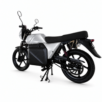 High Performance 73V 4500W Mid Drive Motor Electric Motorcycle 85Km/h Multi-Color Adult Electric Motorbike