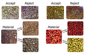 Máquina Clasificadora de Granos de Café por Color, Clasificador Óptico CCD, Equipo de Clasificación de Granos de Café para Mariscos y Vegetales - Product Image 5