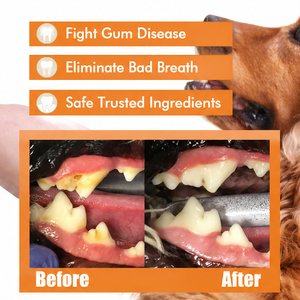 Spray buccal personnalisé OEM pour animaux de compagnie, marque propre, à base de plantes naturelles, sans parfum, sûr pour lécher, rafraîchisseur d'haleine pour chiens et chats - Product Image 5