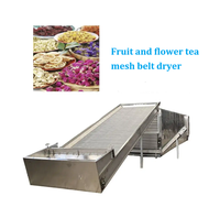 DWT Multi-layer banddroger fabrikant-directe levering banddroger voor fruit en groenten banddroogmachine